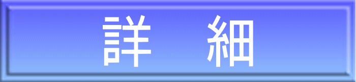 詳　細